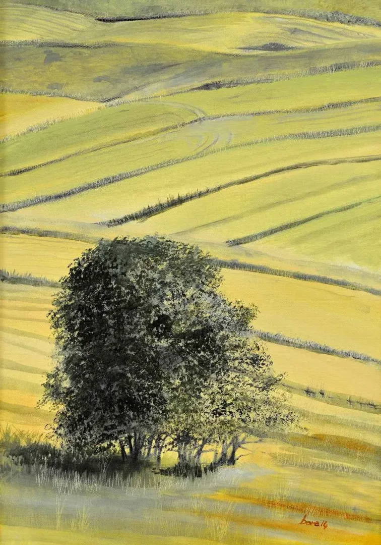 "İsimsiz" eseri BORA YILMAZYİĞİT tarafından 50x35 cm ölçülerinde Tuval üzeri yağlı boya tekniği ile yapılmıştır.