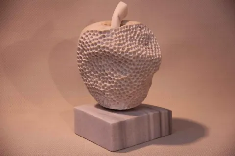 "Çıralı Elması" eseri CEMİL GÜÇ tarafından 2014 yılında 23x13x13 cm ölçülerinde Mermer tekniği ile yapılmıştır.