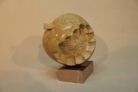 "Kandıra Elması" eseri CEMİL GÜÇ tarafından 2011 yılında 23x20x18 cm ölçülerinde Kandıra Taşı tekniği ile yapılmıştır.