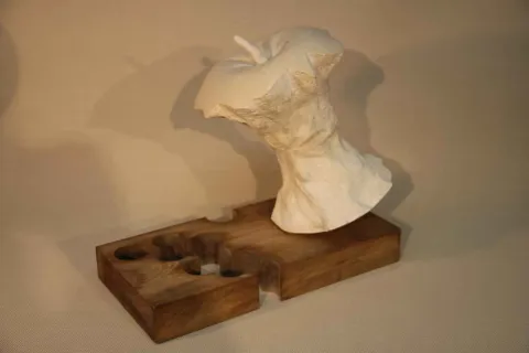 "Yenmiş Elma" eseri CEMİL GÜÇ tarafından 2009 yılında 43x35x25 cm ölçülerinde Ahşap+Kompozit Polyester tekniği ile yapılmıştır.