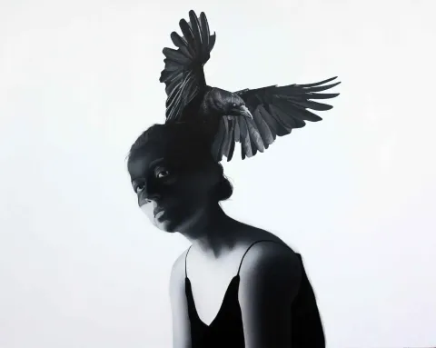 "Kafamdaki Kuşlar-IV" eseri BERK ARIKAN tarafından 2015 yılında 40x50 cm ölçülerinde Tuval üzeri akrilik boya tekniği ile yapılmıştır.