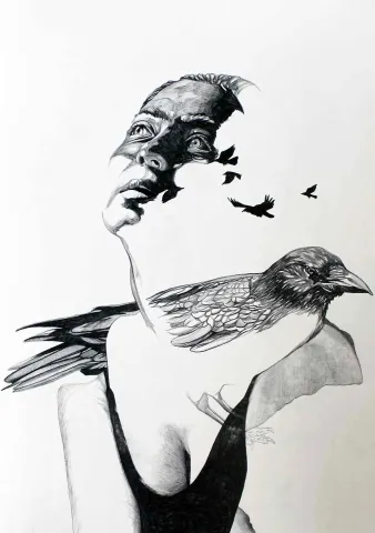 "Kafamdaki Kuşlar-V" eseri BERK ARIKAN tarafından 2015 yılında 50x35 cm ölçülerinde Kağıt üzeri kurşun kalem tekniği ile yapılmıştır.