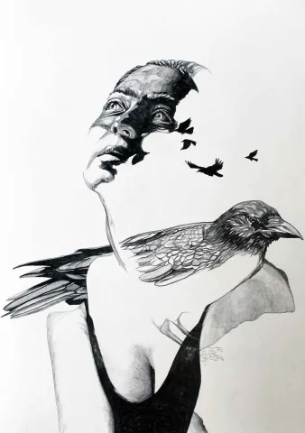 "Kafamdaki Kuşlar-V" eseri BERK ARIKAN tarafından 2015 yılında 50x35 cm ölçülerinde Kağıt üzeri kurşun kalem tekniği ile yapılmıştır.
