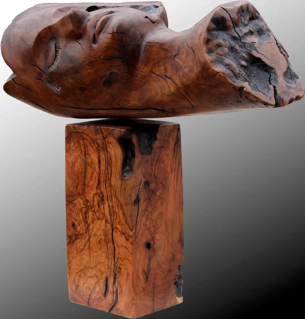yakınlaştır "Uykuda" eseri HAKAN ERASLAN tarafından 64x60 cm ölçülerinde yapılmıştır.