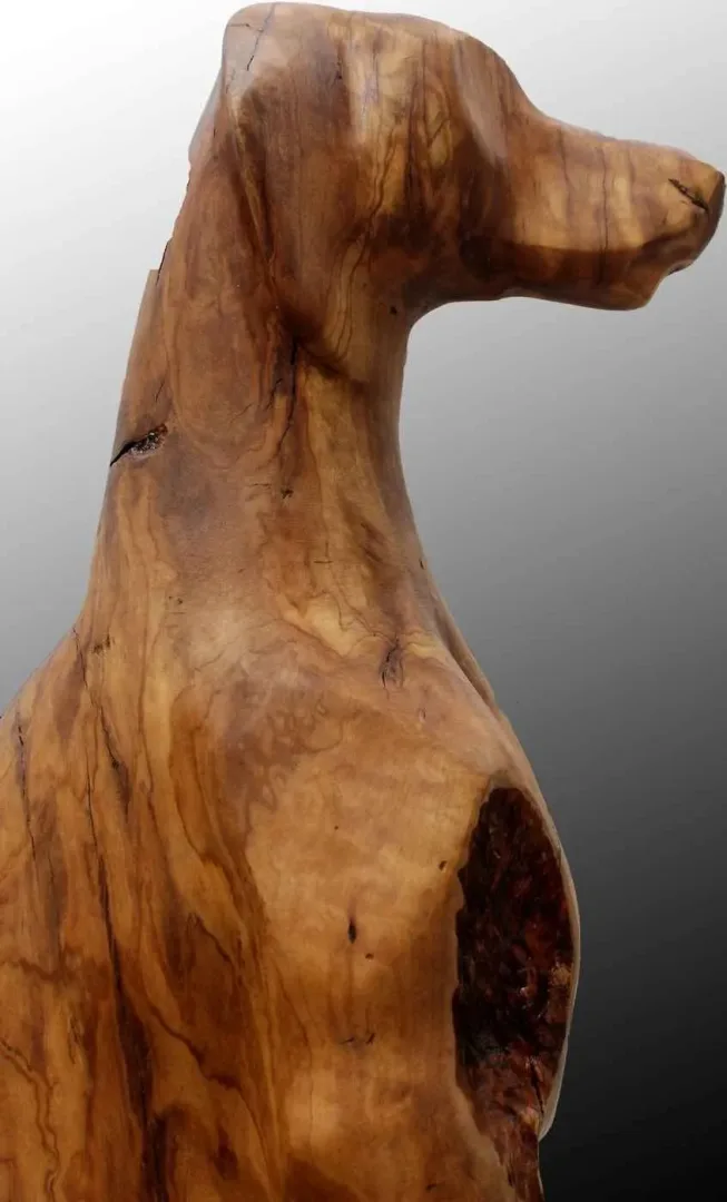 "Weimaraner" eseri HAKAN ERASLAN tarafından 64x60 cm ölçülerinde yapılmıştır.