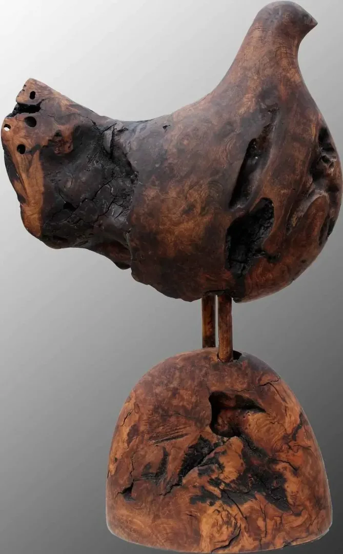 HAKAN ERASLAN — “Delikli Kuş”, 2015 "Delikli Kuş" eseri HAKAN ERASLAN tarafından 2015 yılında 43x12x28 cm ölçülerinde Ahşap tekniği ile yapılmıştır.