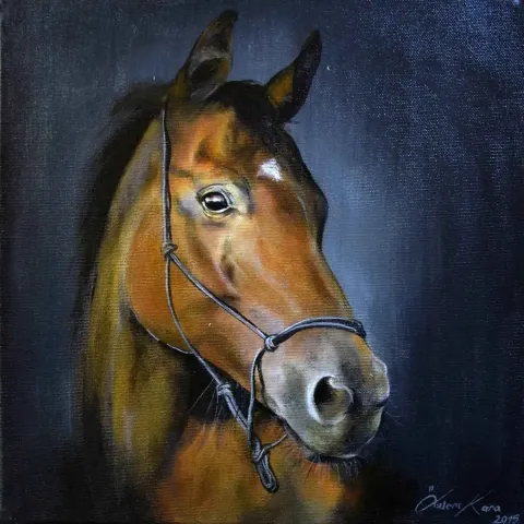 ÖZLEM KARA — “isimsiz”, 2015 "isimsiz" eseri ÖZLEM KARA tarafından 2015 yılında 25x25 cm ölçülerinde Tuval üzeri yağlı boya tekniği ile yapılmıştır.