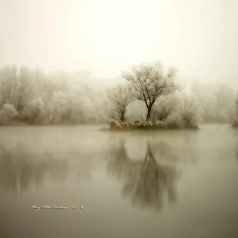 "isimsiz" eseri RECEP PEKER TANITKAN tarafından 2015 yılında 25x25 cm ölçülerinde Fotoğraf tekniği ile yapılmıştır.