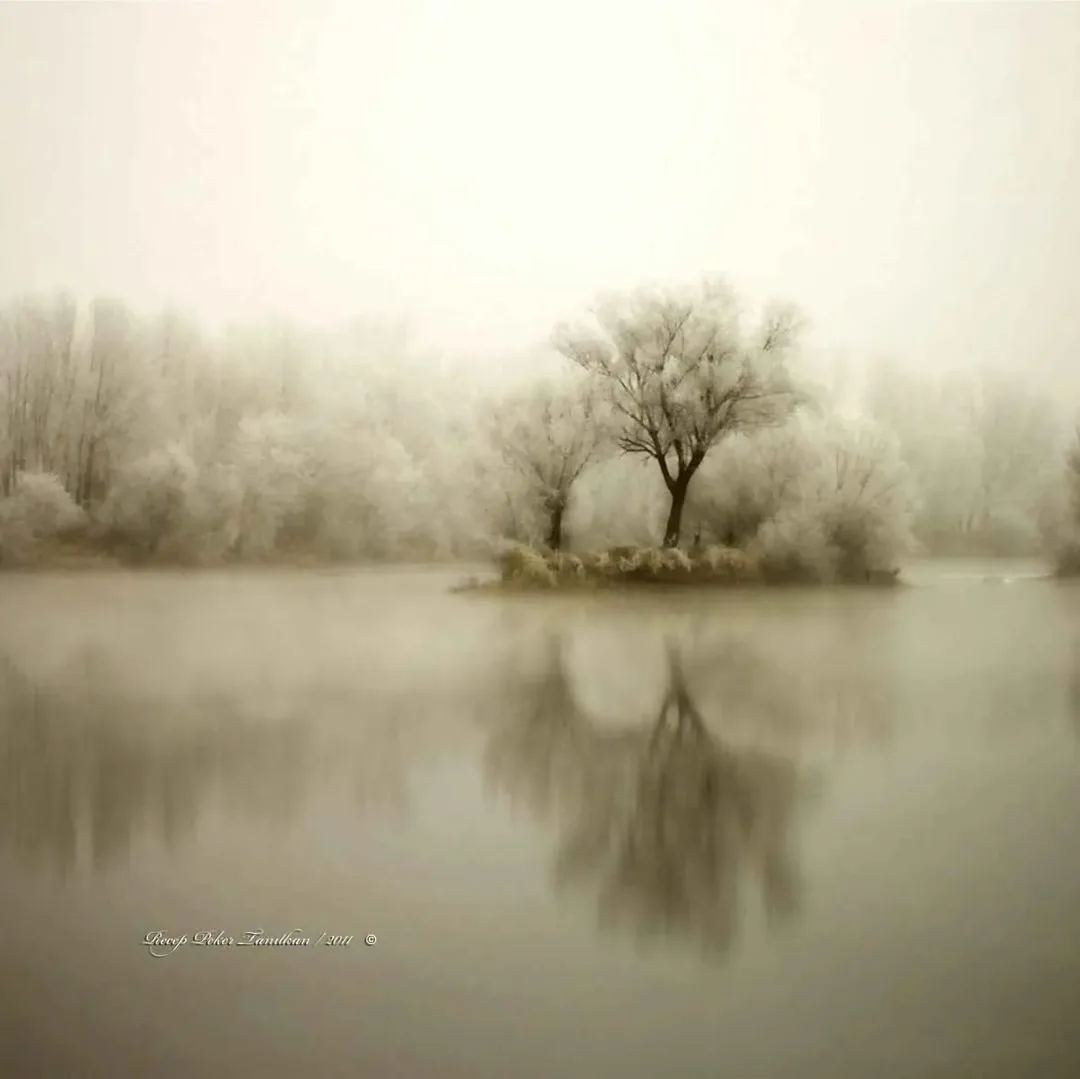 "isimsiz" eseri RECEP PEKER TANITKAN tarafından 2015 yılında 25x25 cm ölçülerinde Fotoğraf tekniği ile yapılmıştır.
