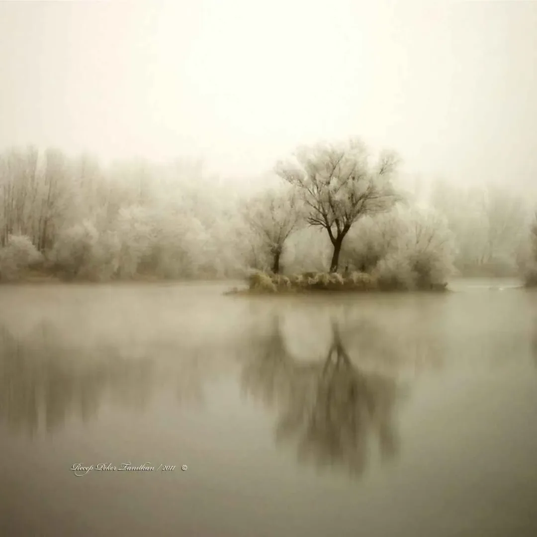 RECEP PEKER TANITKAN — “isimsiz”, 2015 "isimsiz" eseri RECEP PEKER TANITKAN tarafından 2015 yılında 25x25 cm ölçülerinde Fotoğraf tekniği ile yapılmıştır.