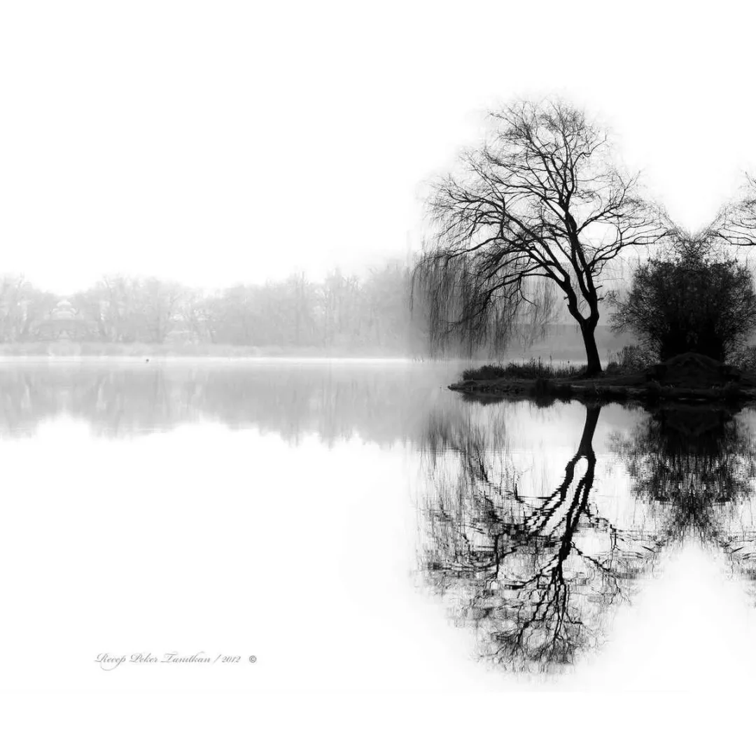RECEP PEKER TANITKAN — “isimsiz”, 2015 "isimsiz" eseri RECEP PEKER TANITKAN tarafından 2015 yılında 25x25 cm ölçülerinde Fotoğraf tekniği ile yapılmıştır.