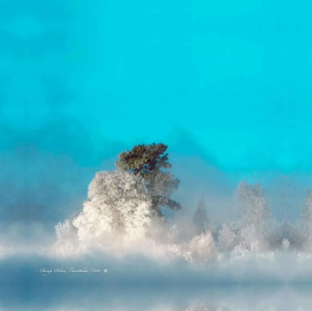 RECEP PEKER TANITKAN — “isimsiz”, 2015 "isimsiz" eseri RECEP PEKER TANITKAN tarafından 2015 yılında 25x25 cm ölçülerinde Fotoğraf tekniği ile yapılmıştır.