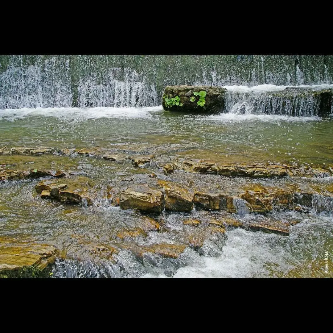ALPER BİLSEL — “isimsiz”, 2015 "isimsiz" eseri ALPER BİLSEL tarafından 2015 yılında 25x25 cm ölçülerinde Fotoğraf tekniği ile yapılmıştır.
