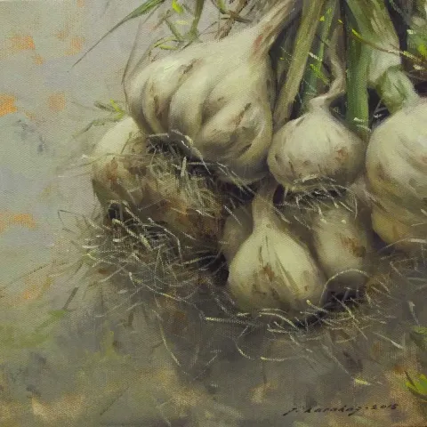 FATİH KARAKAŞ — “Sarımsak-IV”, 2015 "Sarımsak-IV" eseri FATİH KARAKAŞ tarafından 2015 yılında 25x25 cm ölçülerinde Tuval üzeri yağlı boya tekniği ile yapılmıştır.