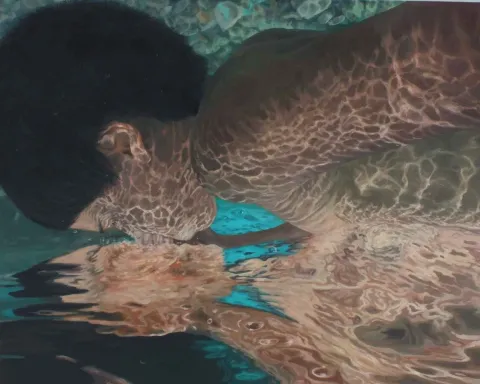 "Tersyüz" eseri ZUHAL BAYSAR tarafından 120x150 cm ölçülerinde Tuval üzeri yağlı boya tekniği ile yapılmıştır.