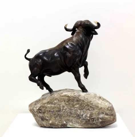 "Buffalo" eseri ALEXANDER DAVİDOV tarafından 34x26x20 cm ölçülerinde Bronz tekniği ile yapılmıştır.