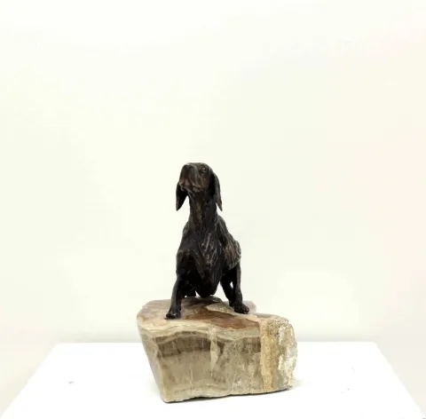 "İngiliz Seteri" eseri ALEXANDER DAVİDOV tarafından 23x27x15 cm ölçülerinde Bronz tekniği ile yapılmıştır.