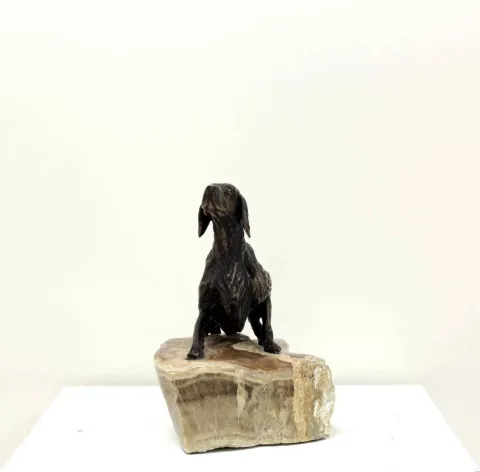 "İngiliz Seteri" eseri ALEXANDER DAVİDOV tarafından 23x27x15 cm ölçülerinde Bronz tekniği ile yapılmıştır.