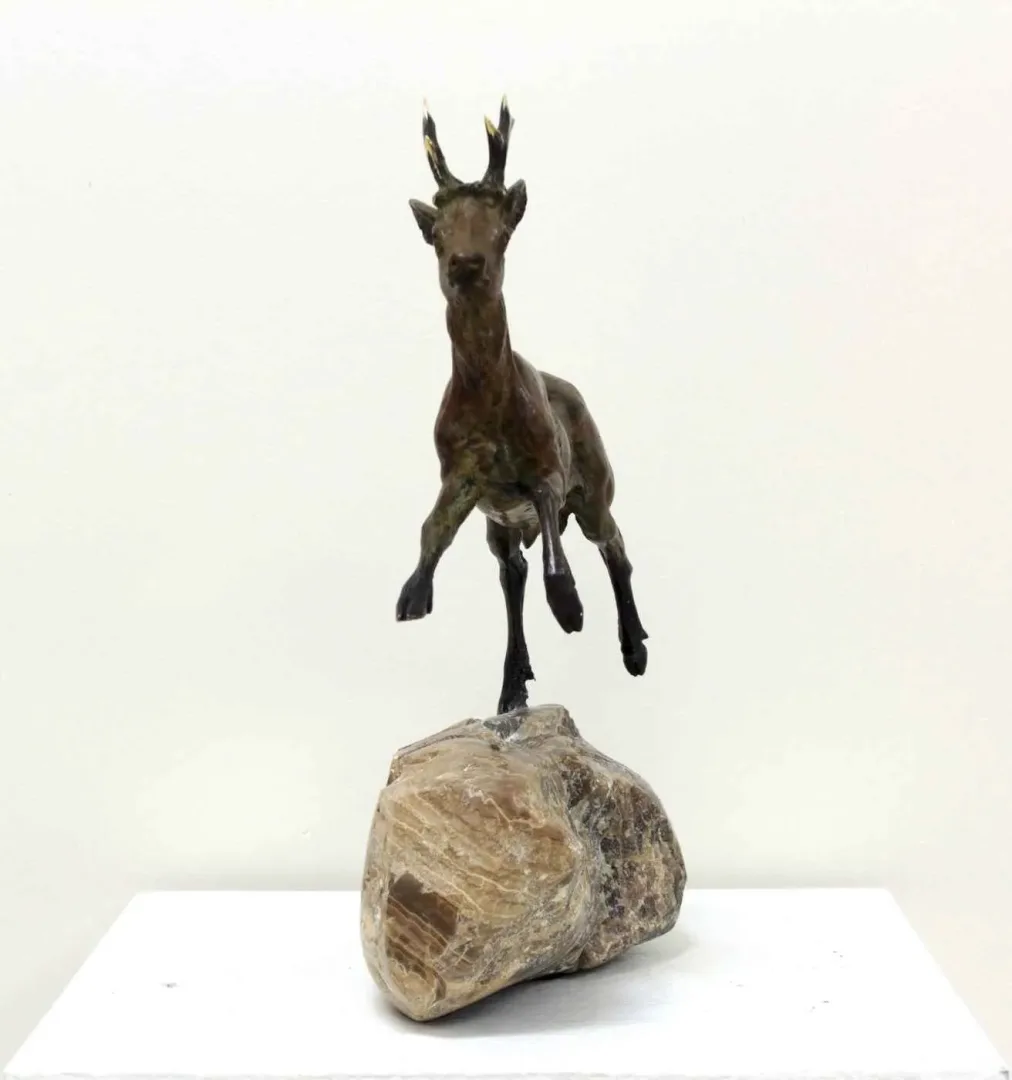 yakınlaştır "Karaca" eseri ALEXANDER DAVİDOV tarafından 36x31x14 cm ölçülerinde Bronz tekniği ile yapılmıştır.