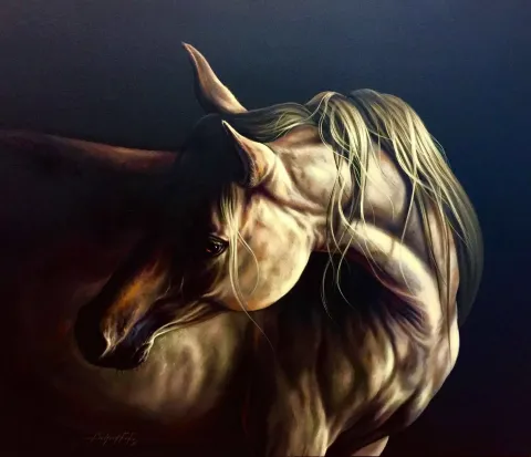 "Bakış" eseri BEHZAT FEYZULLAH tarafından 2016 yılında 80x100 cm ölçülerinde Tuval üzeri yağlı boya tekniği ile yapılmıştır.