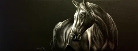 "Siyah ve beyaz" eseri BEHZAT FEYZULLAH tarafından 2016 yılında 30x80 cm ölçülerinde Tuval üzeri yağlı boya tekniği ile yapılmıştır.
