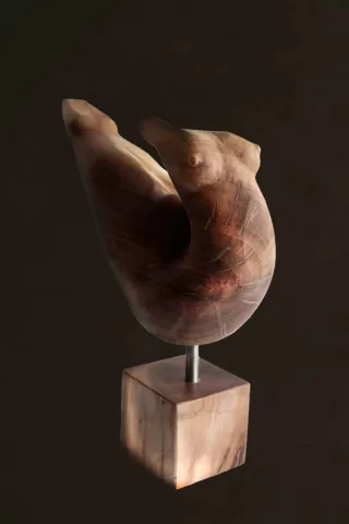 "Untitled" eseri AZİMET KARAMAN tarafından 2016 yılında 33x51x19 cm ölçülerinde Ahşap (Ceviz) tekniği ile yapılmıştır.