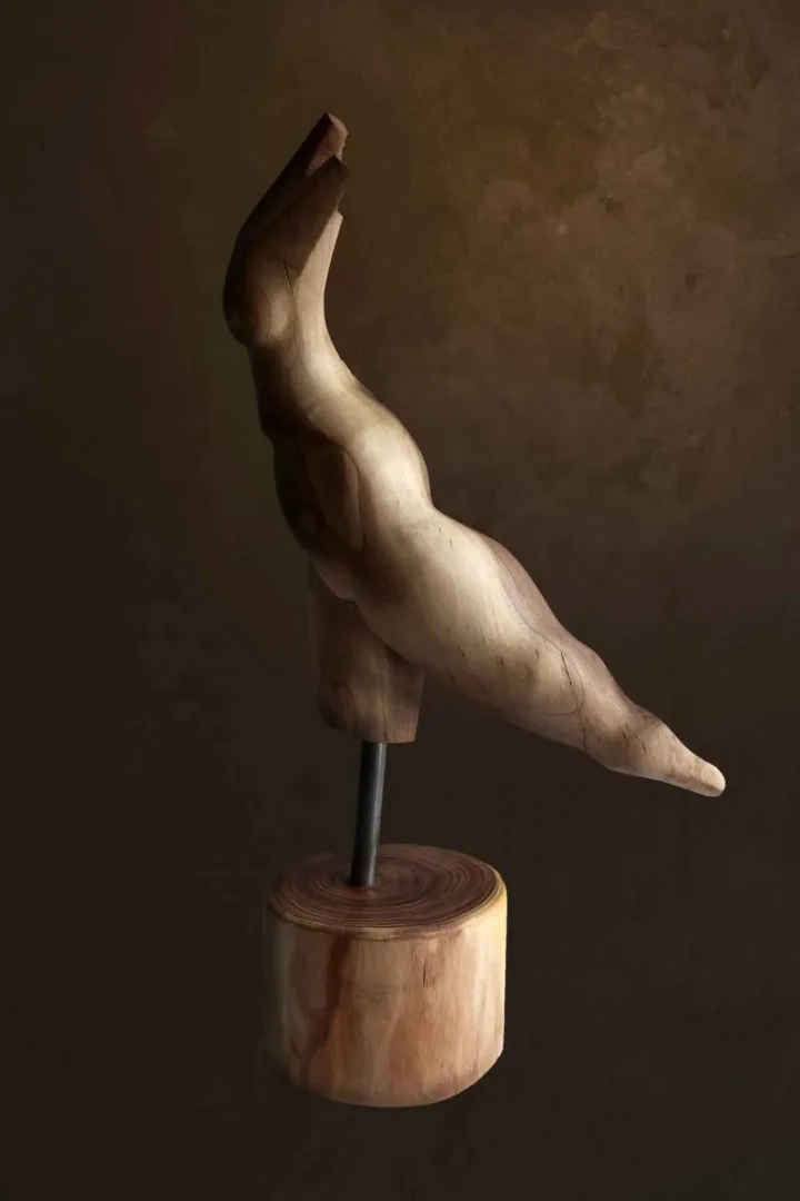 "Untitled" eseri AZİMET KARAMAN tarafından 2016 yılında 67x14x32 cm ölçülerinde Ahşap (Ceviz) tekniği ile yapılmıştır.