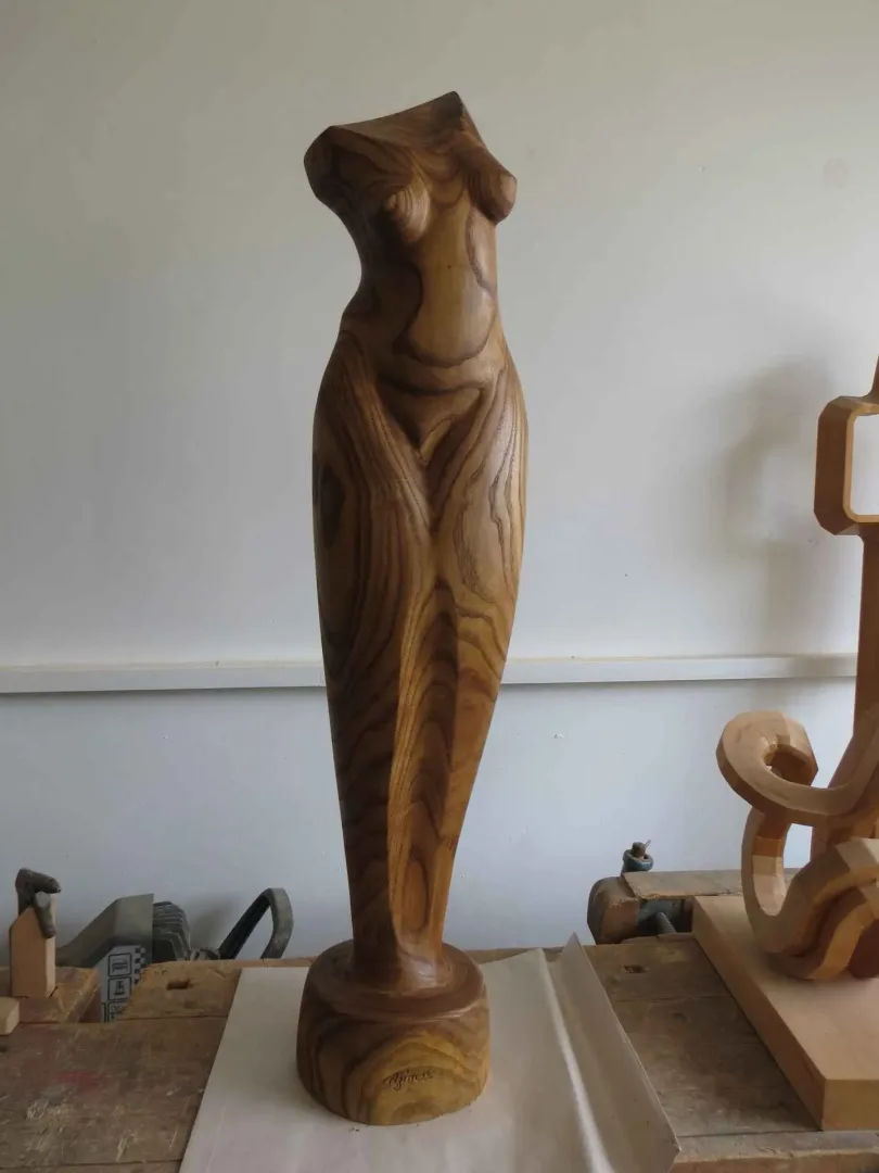 "Untitled" eseri AZİMET KARAMAN tarafından 2016 yılında 97x20x17 cm ölçülerinde Ahşap (Akasya) tekniği ile yapılmıştır.