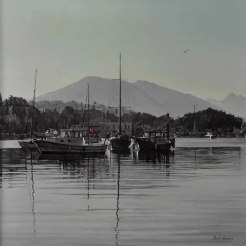 "Gümüşlükte Yalnız Martı" eseri BEŞİR SARPÇA tarafından 2014 yılında 65x65 cm ölçülerinde Tuval üzeri yağlı boya tekniği ile yapılmıştır.