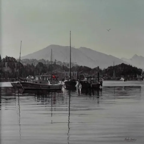 "Gümüşlükte Yalnız Martı" eseri BEŞİR SARPÇA tarafından 2014 yılında 65x65 cm ölçülerinde Tuval üzeri yağlı boya tekniği ile yapılmıştır.
