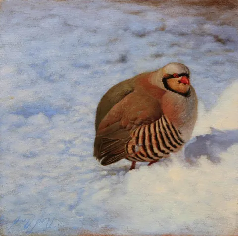 ÖMER EKEN — “Karda Keklik”, 2014 "Karda Keklik" eseri ÖMER EKEN tarafından 2014 yılında 40x40 cm ölçülerinde Tuval üzeri yağlı boya tekniği ile yapılmıştır.