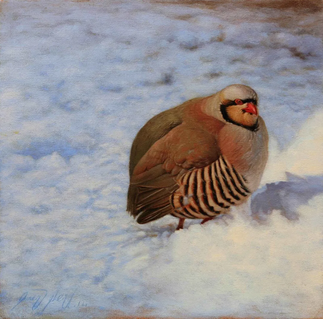 yakınlaştır "Karda Keklik" eseri ÖMER EKEN tarafından 2014 yılında 40x40 cm ölçülerinde Tuval üzeri yağlı boya tekniği ile yapılmıştır.