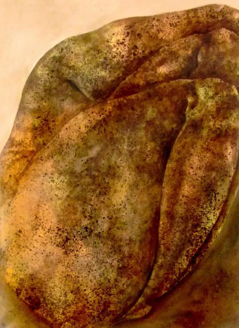 "Koruma-II" eseri PARVİN GHORBANZADEH DİZAJİ tarafından 2013 yılında 150x110 cm ölçülerinde Tuval üzeri karışık teknik tekniği ile yapılmıştır.