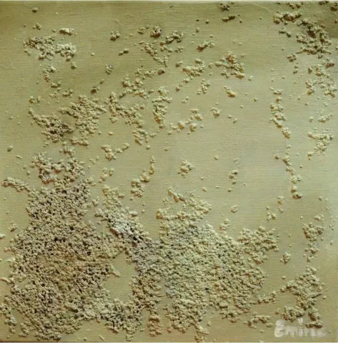 EMİNE GÜNDÜZ — “Paslanmış Ruhlara Hitap”, 2016 "Paslanmış Ruhlara Hitap" eseri EMİNE GÜNDÜZ tarafından 2016 yılında 25x25 cm ölçülerinde Tuval üzeri karışık teknik tekniği ile yapılmıştır.
