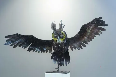 MURAT YILDIRIMÇAKAR — “Baykuş”, 2017 "Baykuş" eseri MURAT YILDIRIMÇAKAR tarafından 2017 yılında 77x132x64 cm ölçülerinde Metal tekniği ile yapılmıştır.