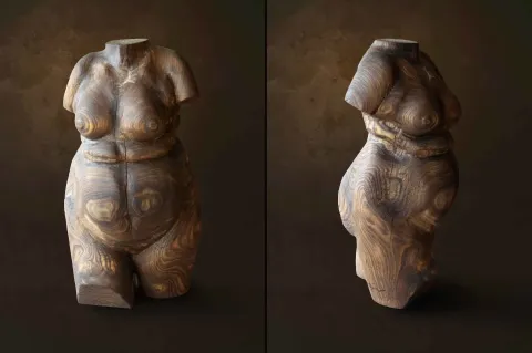 "Tors" eseri AZİMET KARAMAN tarafından 2015 yılında 67x35x35 cm ölçülerinde Ahşap Yontma (Çam) tekniği ile yapılmıştır.