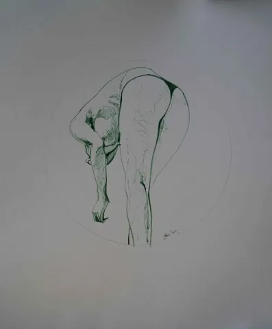 Bu eser ALİ ÖZHAN GÜNEŞ tarafından 2017 yılında 50x40 cm ölçülerinde Kağıt üzeri mürekkep tekniği ile yapılmıştır.