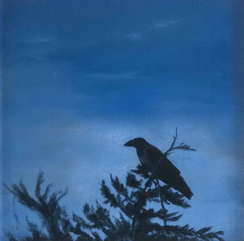 "Karga" eseri YİĞİT ALTIPARMAKOĞULLARI tarafından 2016 yılında 30x30 cm ölçülerinde Tuval üzeri yağlı boya tekniği ile yapılmıştır.