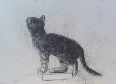 "Pepper" eseri YİĞİT ALTIPARMAKOĞULLARI tarafından 2012 yılında 24x33 cm ölçülerinde Karton üzeri füzen tekniği ile yapılmıştır.