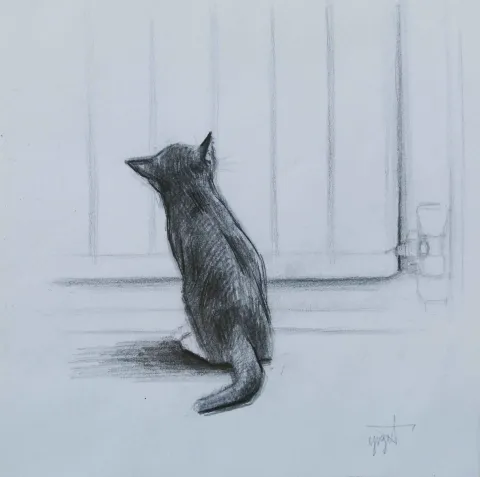 "Pepper" eseri YİĞİT ALTIPARMAKOĞULLARI tarafından 2012 yılında 14x14 cm ölçülerinde Kağıt üzeri kurşun kalem tekniği ile yapılmıştır.