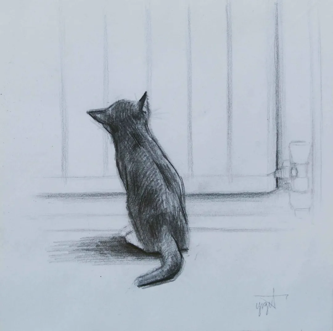 yakınlaştır "Pepper" eseri YİĞİT ALTIPARMAKOĞULLARI tarafından 2012 yılında 14x14 cm ölçülerinde Kağıt üzeri kurşun kalem tekniği ile yapılmıştır.