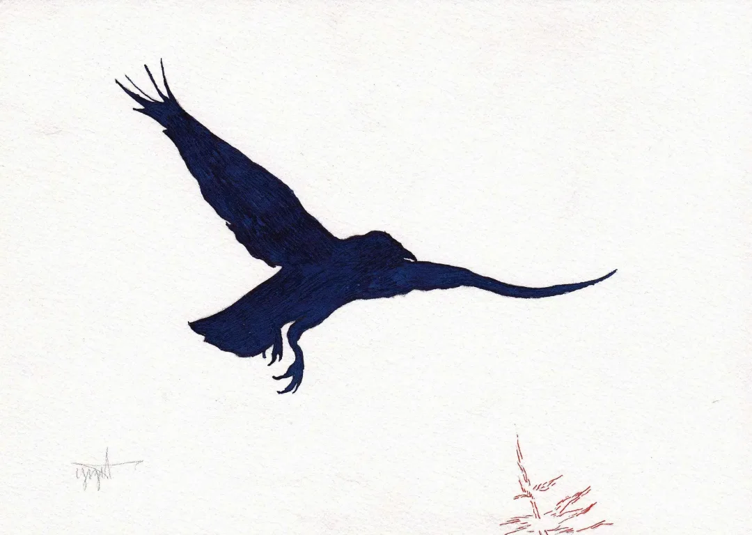 yakınlaştır "Karga" eseri YİĞİT ALTIPARMAKOĞULLARI tarafından 2013 yılında 15x21 cm ölçülerinde Kağıt üzeri Ekolin tekniği ile yapılmıştır.