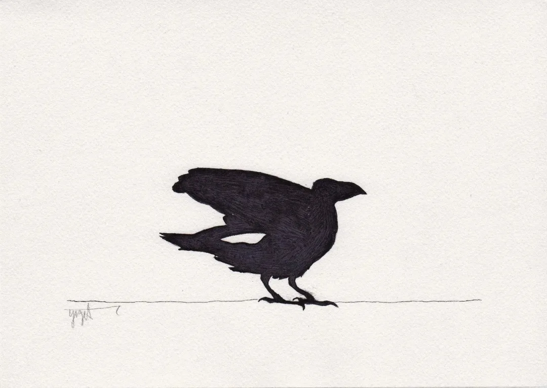 "Karga" eseri YİĞİT ALTIPARMAKOĞULLARI tarafından 2013 yılında 15x21 cm ölçülerinde Kağıt üzeri Ekolin tekniği ile yapılmıştır.
