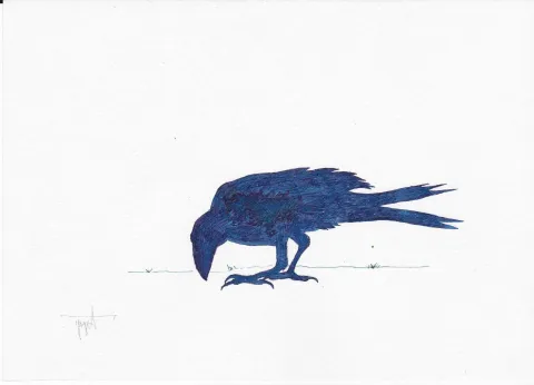 "Karga" eseri YİĞİT ALTIPARMAKOĞULLARI tarafından 2013 yılında 15x21 cm ölçülerinde Kağıt üzeri Ekolin tekniği ile yapılmıştır.