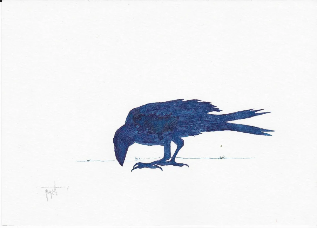 yakınlaştır "Karga" eseri YİĞİT ALTIPARMAKOĞULLARI tarafından 2013 yılında 15x21 cm ölçülerinde Kağıt üzeri Ekolin tekniği ile yapılmıştır.