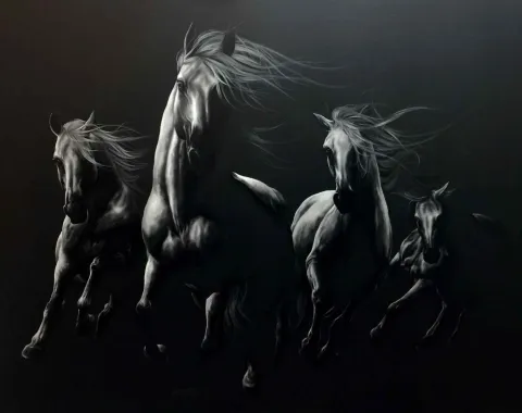 "Gölgeler 1" eseri BEHZAT FEYZULLAH tarafından 2018 yılında 140x180 cm ölçülerinde Tuval üzeri yağlı boya tekniği ile yapılmıştır.