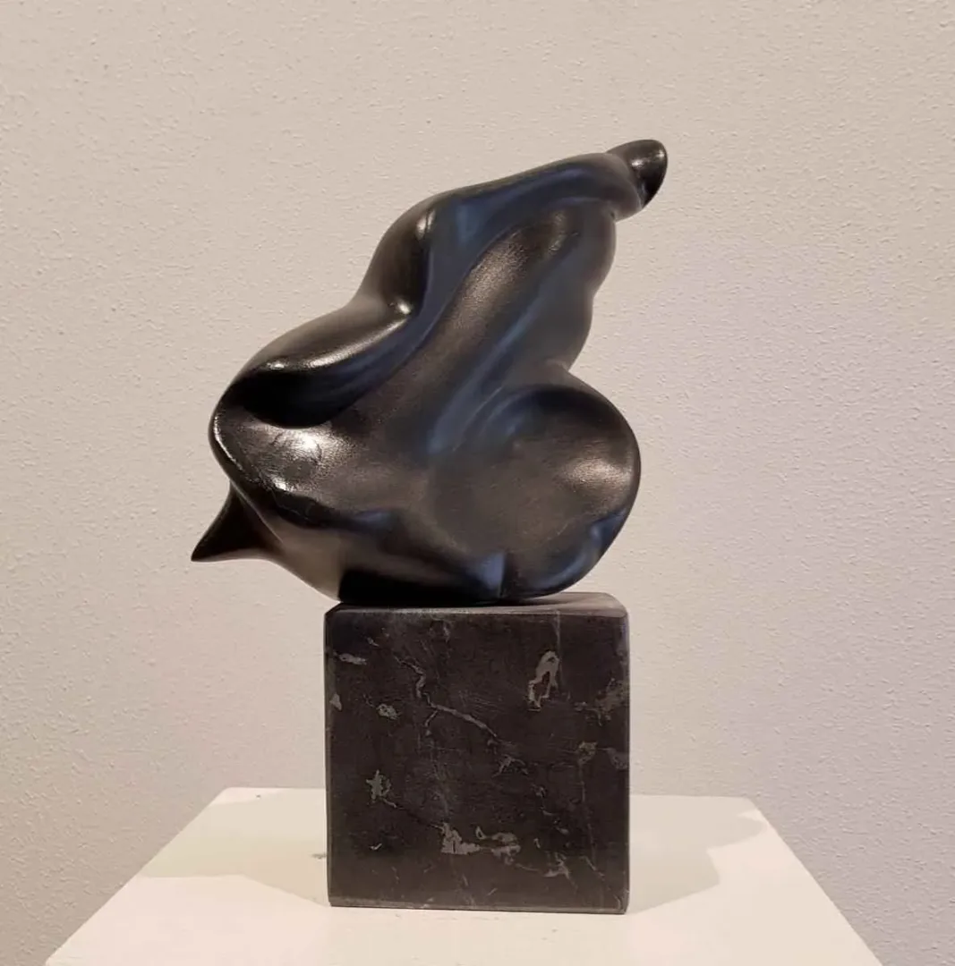 DEMET KAYA — 2018 Bu eser DEMET KAYA tarafından 2018 yılında 30x17x11 cm ölçülerinde Serpantin tekniği ile yapılmıştır.