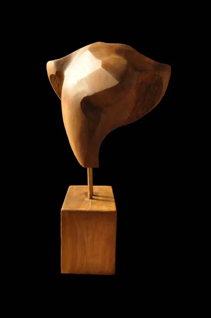 Bu eser AZİMET KARAMAN tarafından 2018 yılında 50x39x30 cm ölçülerinde Ahşap Yontu tekniği ile yapılmıştır.