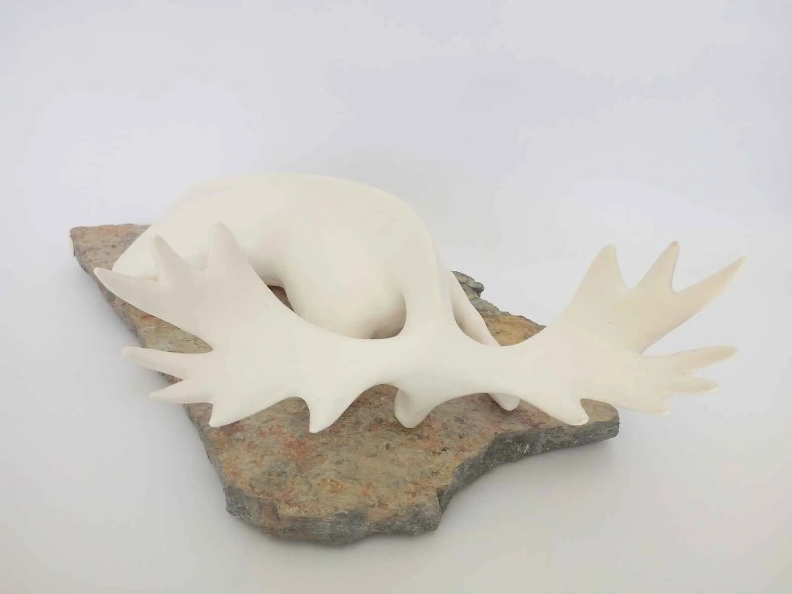"Untitled - İsimsiz" eseri AYŞE ERGÜNER tarafından 2015 yılında 49x28x14 cm ölçülerinde Beyaz çamur sırlı pişirim 1040 °C Serbest elle şekillendirme tekniği ile yapılmıştır.