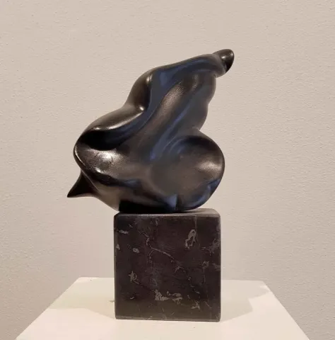 DEMET KAYA — 2018 Bu eser DEMET KAYA tarafından 2018 yılında 30x17x11 cm ölçülerinde Serpantin tekniği ile yapılmıştır.